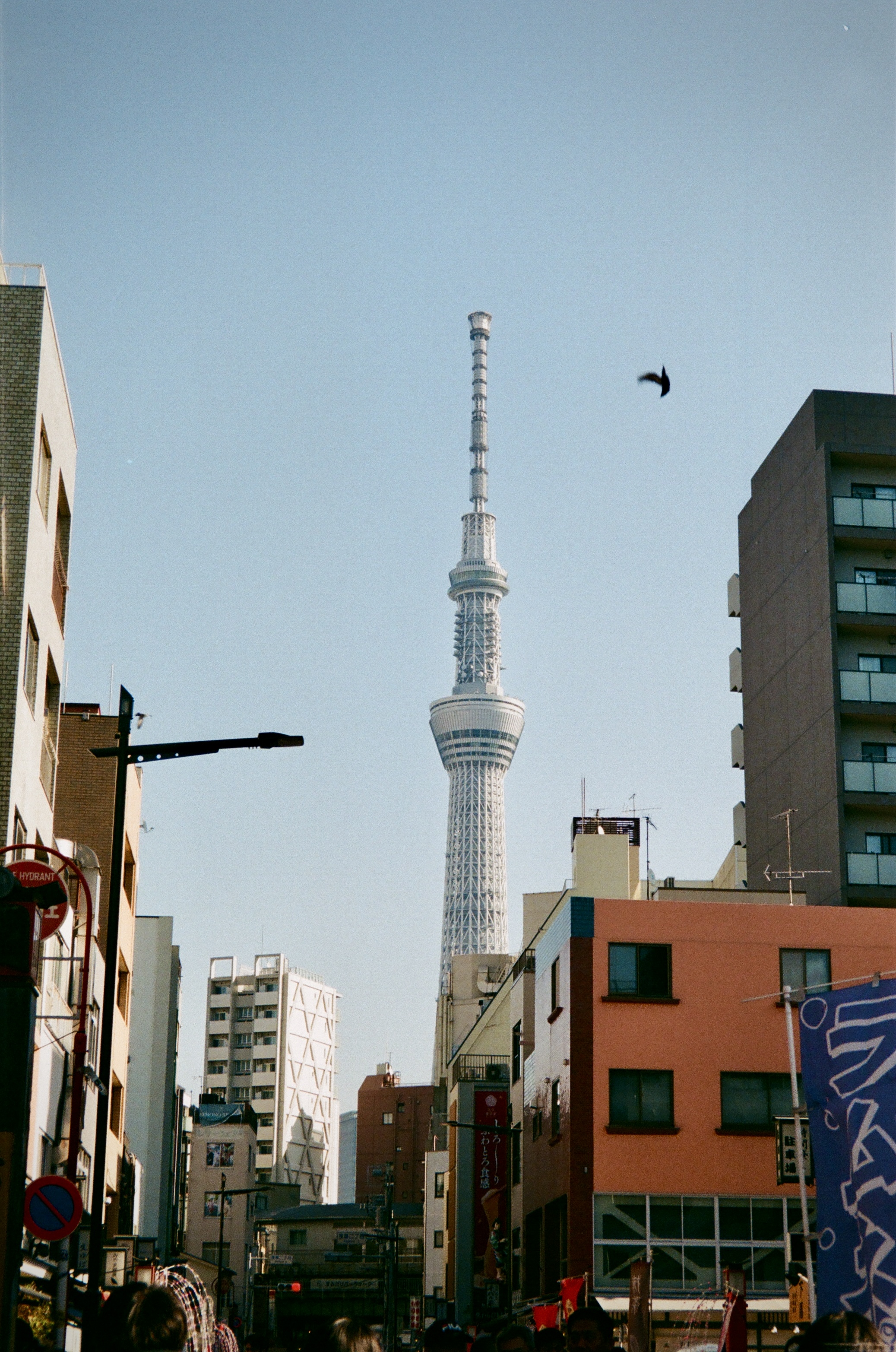 35mm film photograph