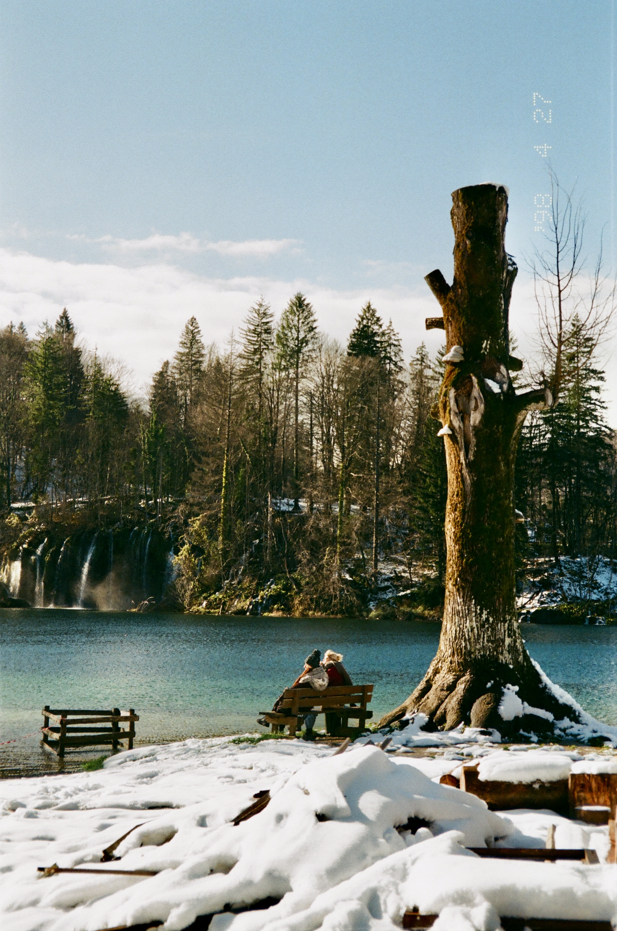 35mm film photograph