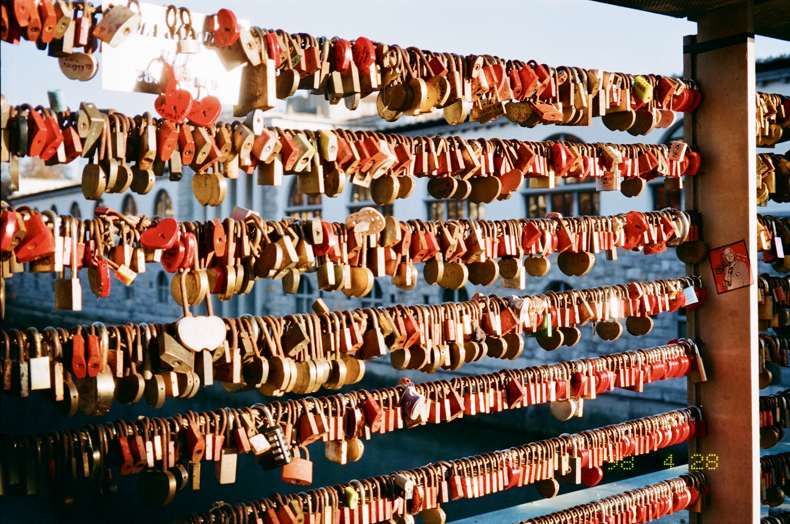 35mm film photograph