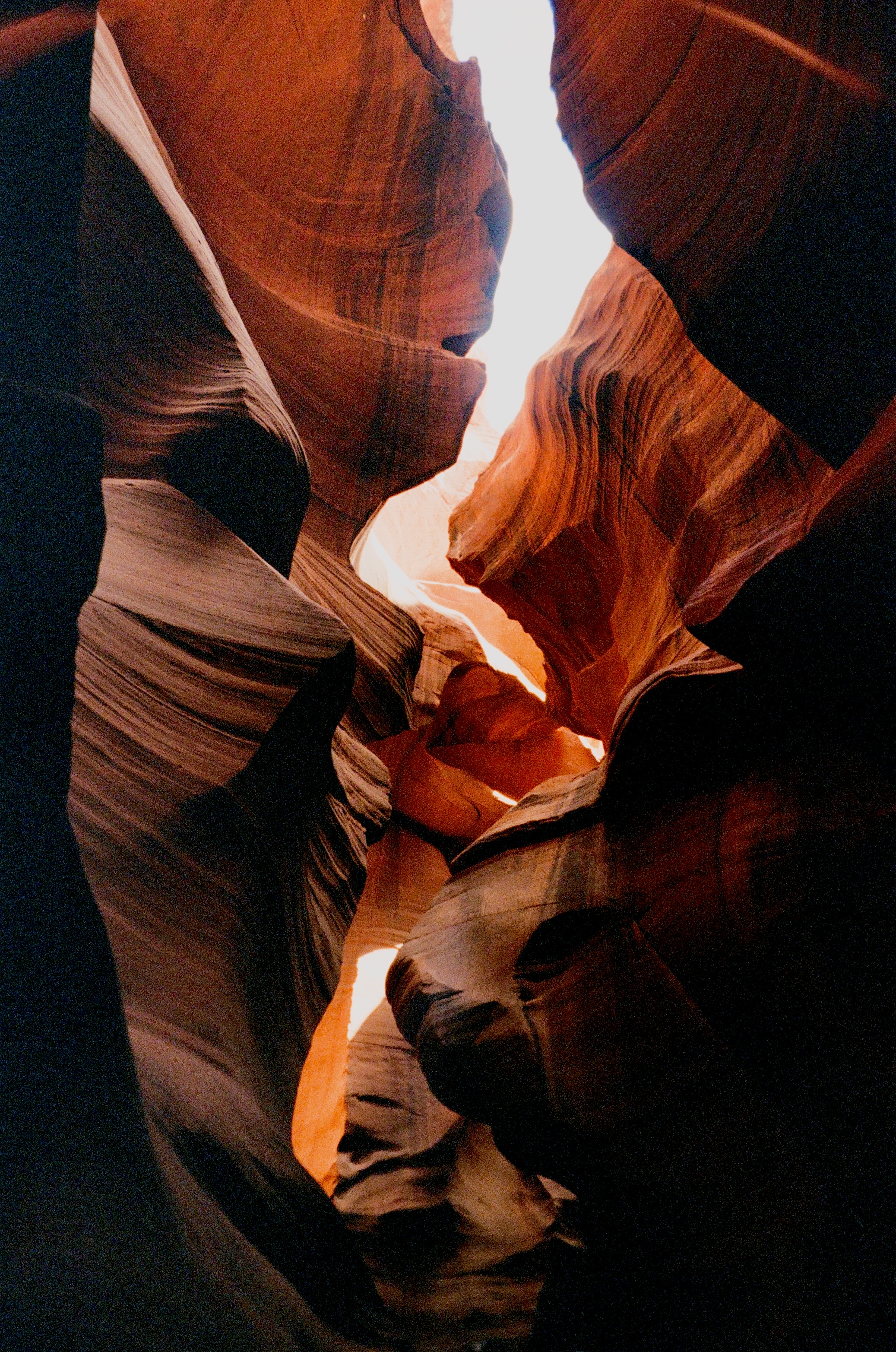 35mm film photograph